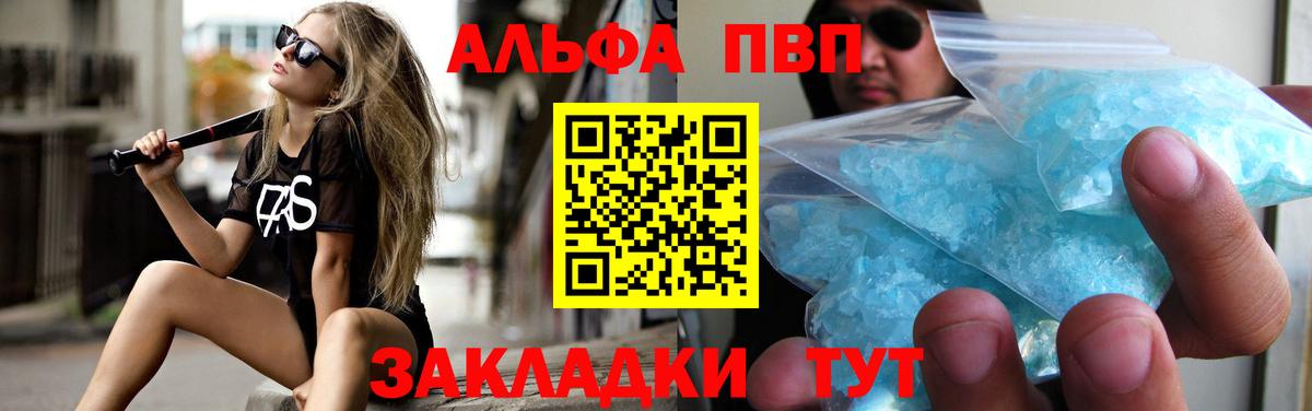 Alfa_PVP СК Дмитров