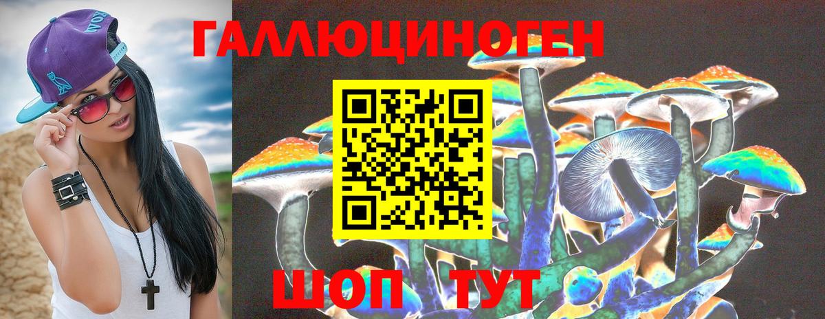 Дмитров  Галлюциногенные грибы мицелий  Вход с VPN 