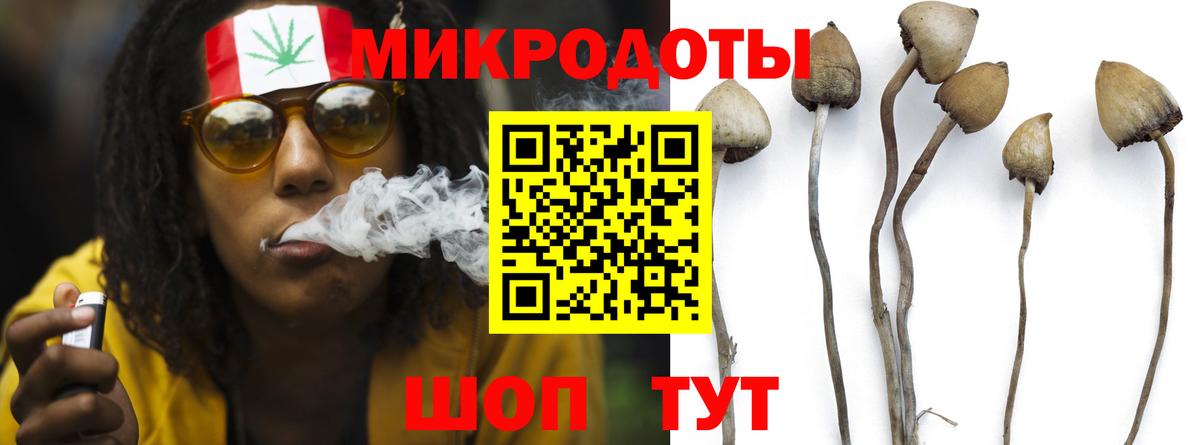 Галлюциногенные грибы MAGIC MUSHROOMS Дмитров